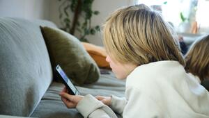 Social-Media-Nutzung