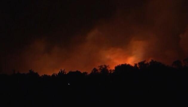 Waldbrand in Sachsen: Lage in Gohrischheide schwierig - Evakuierungen nötig