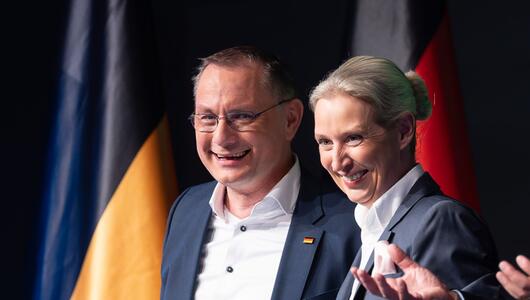 Wahlkampfabschluss der AfD Baden-Württemberg