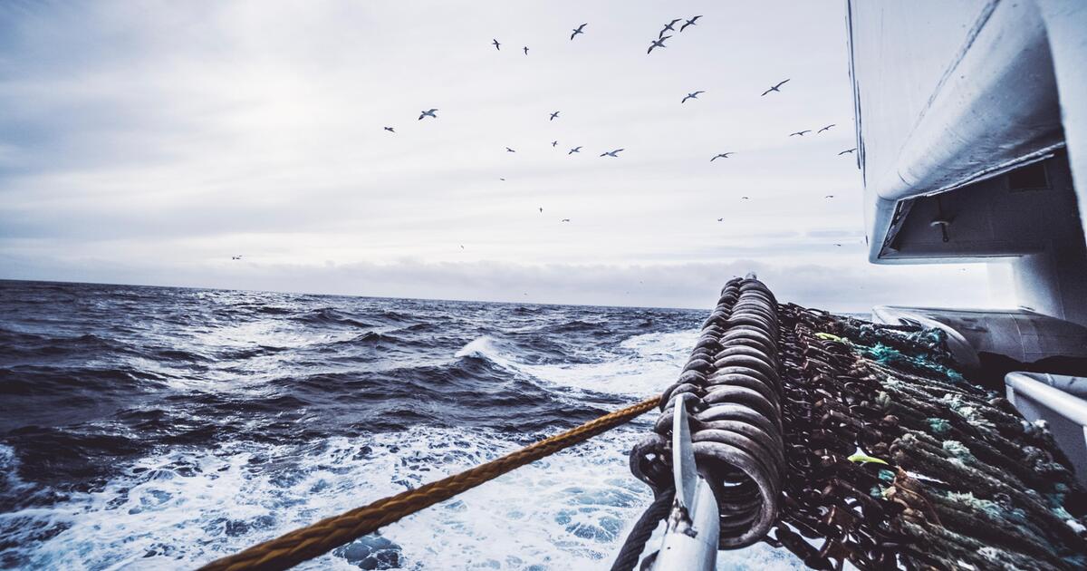 jumbo segelboot gesunken