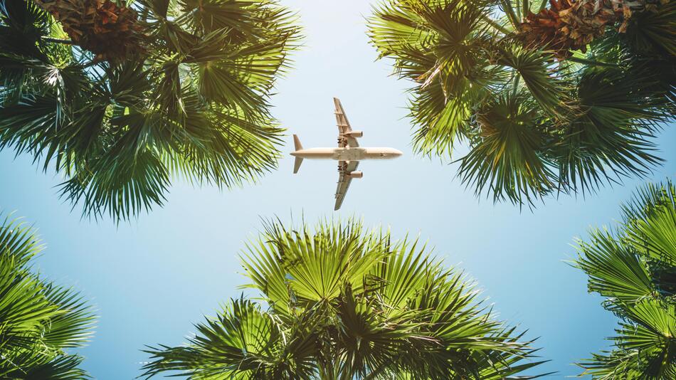 Flugzeug fliegt zwischen Palmen