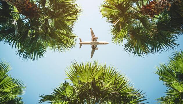 Flugzeug fliegt zwischen Palmen