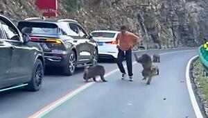 Tiere blockieren Straße: Wilde Affen wollen Touristen die Hose runterziehen