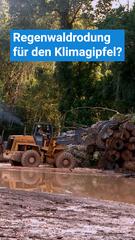 Brasilien rodet Regenwald für Weltklimagipfel