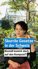 Skurrile Gesetze Schweiz