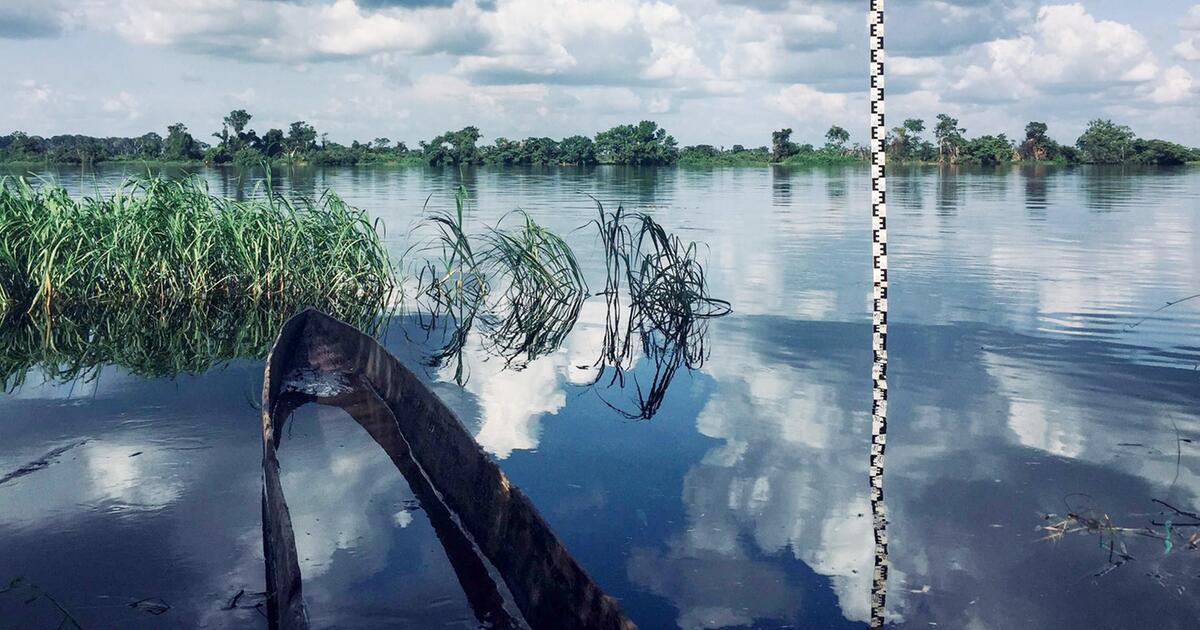 Studie: De Afrikaanse rivier is donkerder dan de Rio Negro