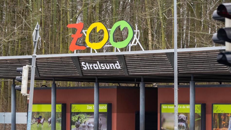 Zoo Stralsund