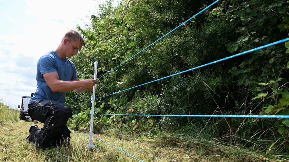 Elektrozaun zur Eindämmung der Schweinepest