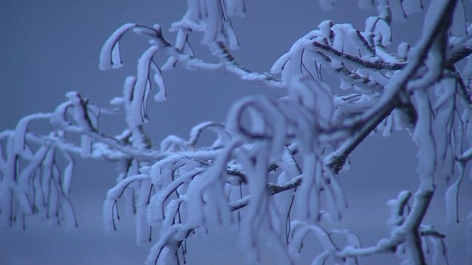 Meteorologischer Winterbeginn - Frostige Temperaturen und Sonne