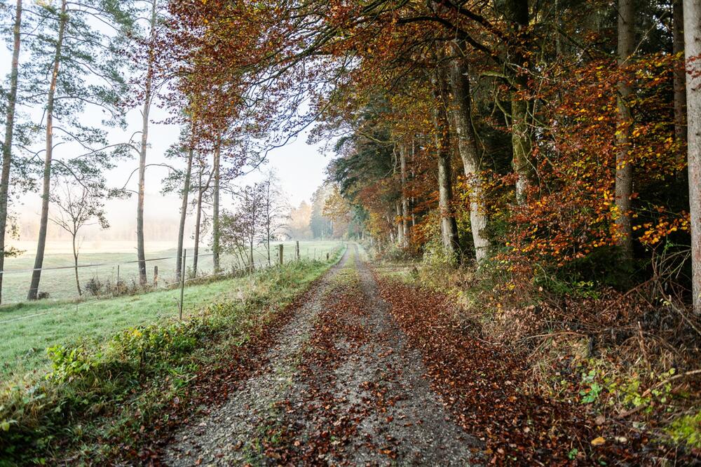 Herbstliches Wetter