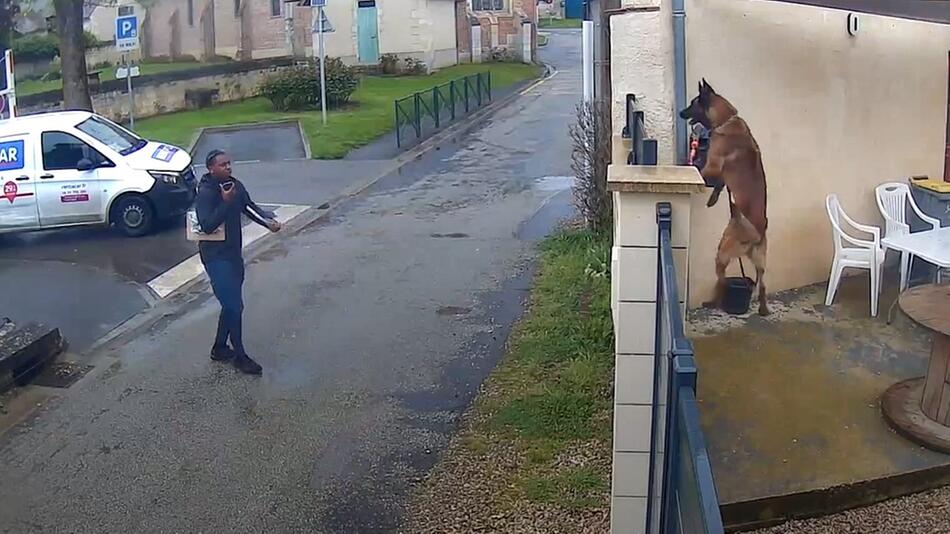 Hund schützt sein Haus vor Postboten