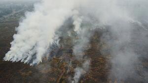 Waldbrände in Indonesien
