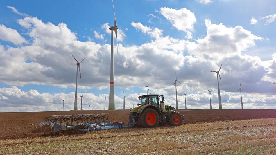 Weniger Fläche landwirtschaftlich genutzt in Sachsen-Anhalt