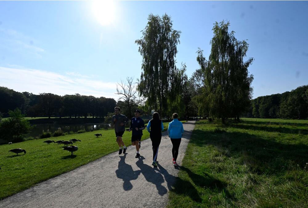 Sonne in Köln - Wetter