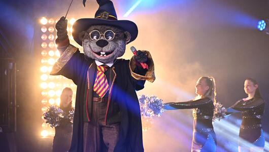 Harry Otter bei "The Masked Singer"