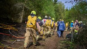 Hunderte Einsatzkräfte bekämpfen Waldbrand bei Friesenhagen