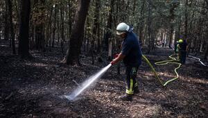 Waldbrand im Hürtgenwald