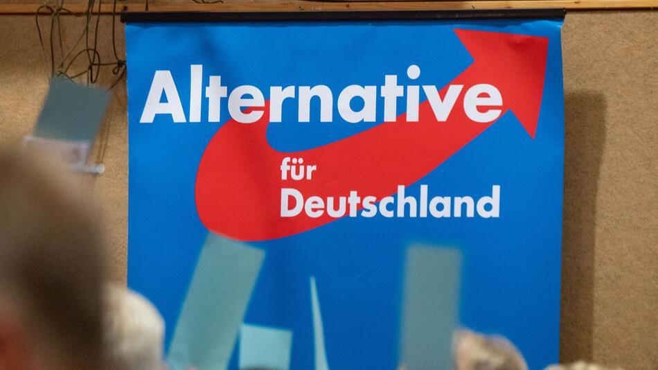 Plakat AfD