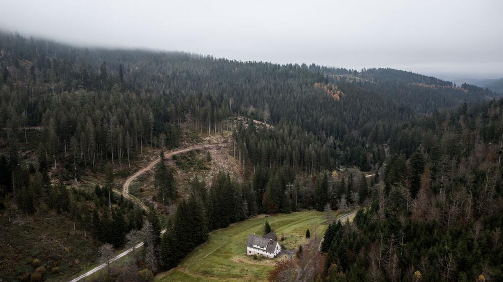 Erweiterung Nationalpark Schwarzwald