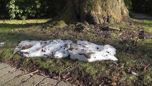 Wechselhaftes Wetter: Kühle Luft und Regen - Schnee in den Bergen