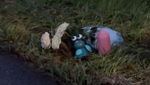 Kleinkind und Großmutter sterben bei Unfall: Viele Fragen offen