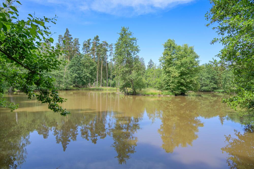 Hirschteich auf der Frankenhöhe südlich von Burgbernheim