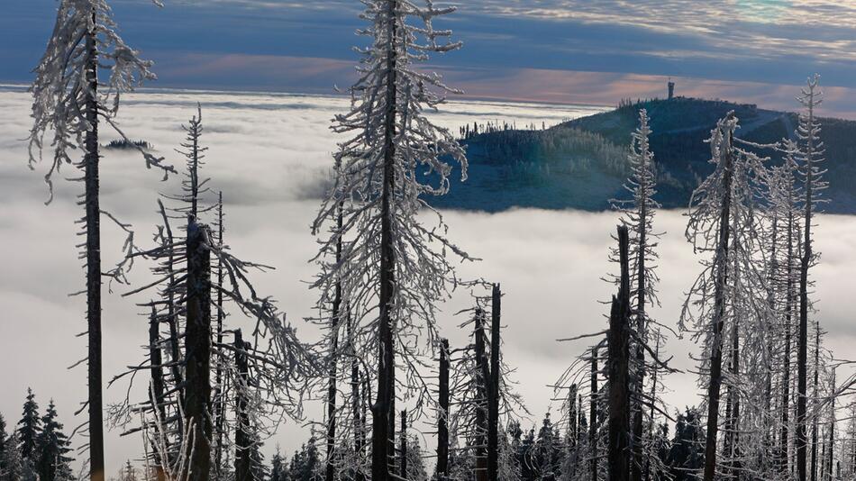 Wetter im Harz - Archiv