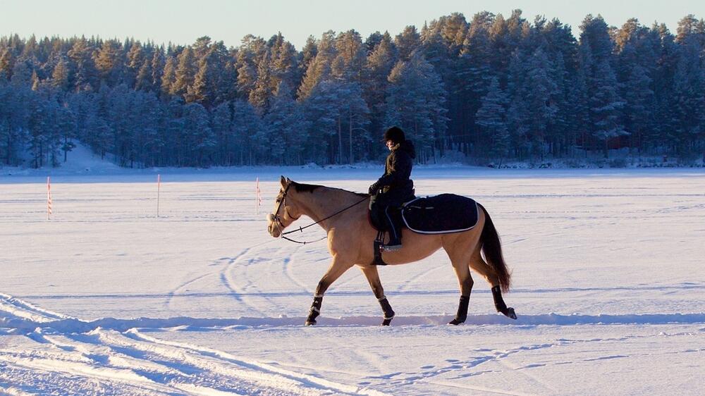 Ausreiten im Winter kann auch Spaß machen.