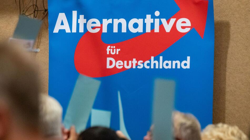 Plakat AfD