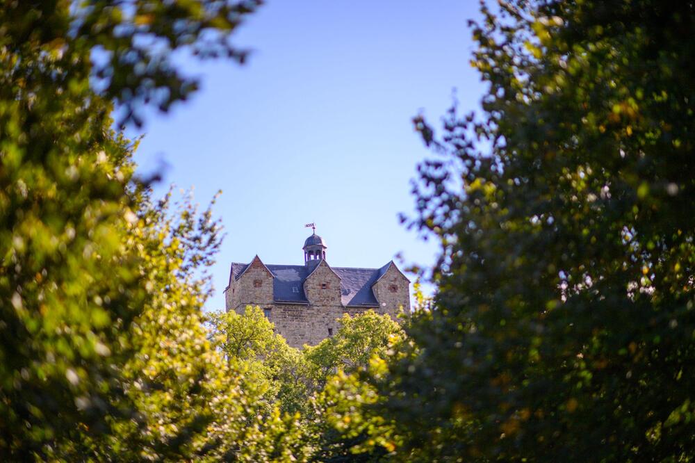 Schloss Ballenstedt