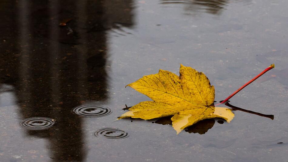 Herbstwetter in Hamburg