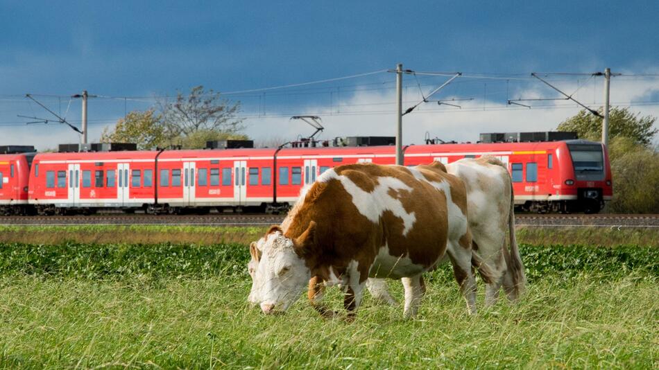 Deutsche Bahn Regionalzug