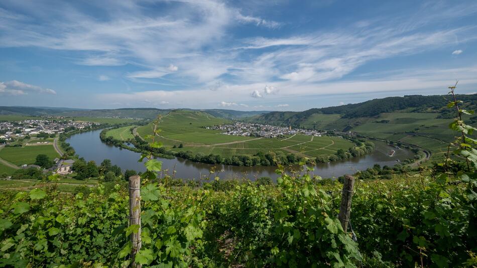 Tourismusregion Mosel