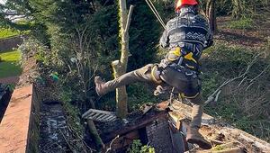 Unsinn nach Feierabend: Baumpfleger kracht fast in Schuppen