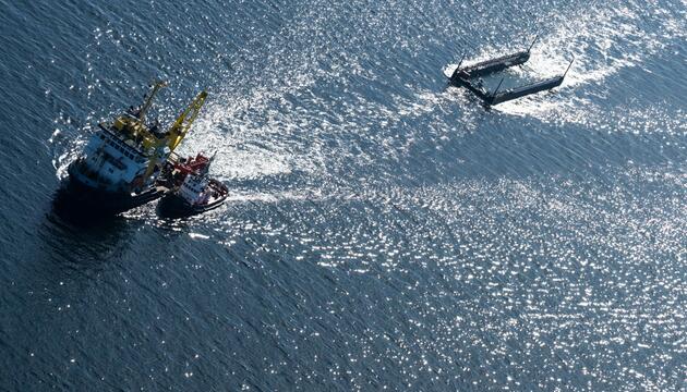 Weitere Entwicklung zum Buckelwal in der Ostsee