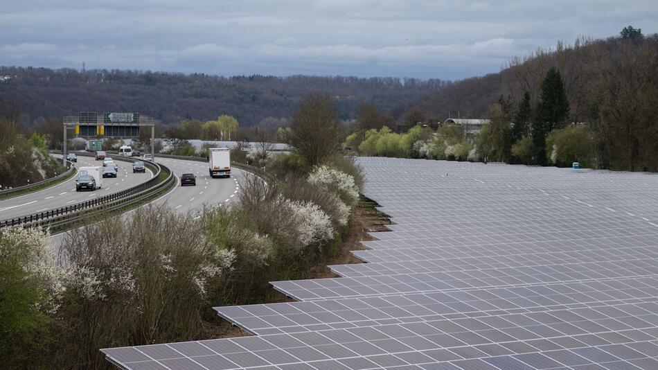 Solarpark Traufwiesen