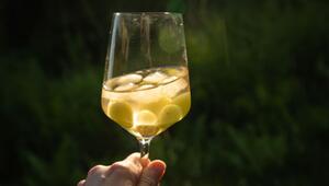 Eiswürfel aus Trauben und gefrorenem Wein kühlen einen Weißwein