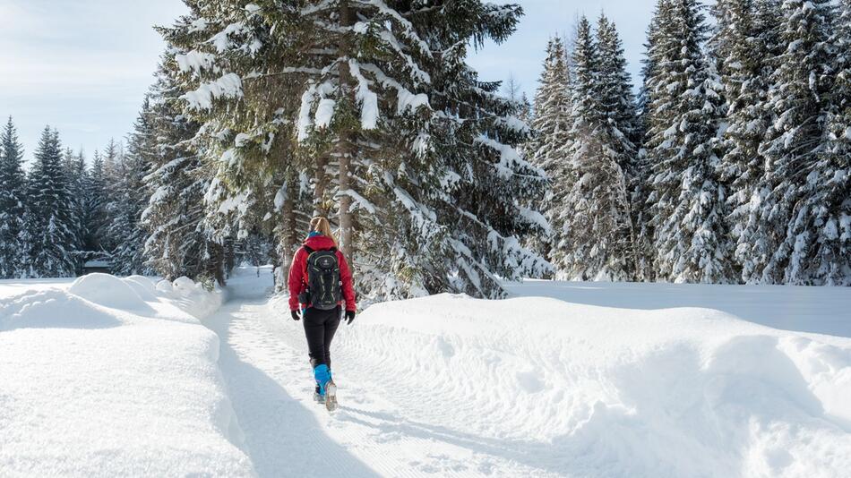 Winterwanderung auf dem Seefelder Hochplateau