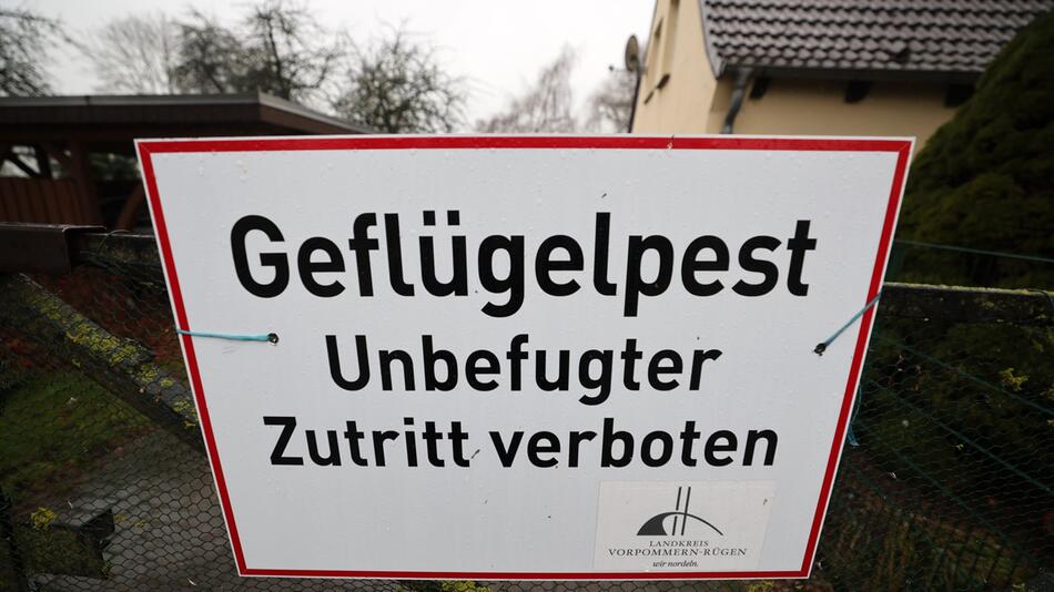 Geflügelpest