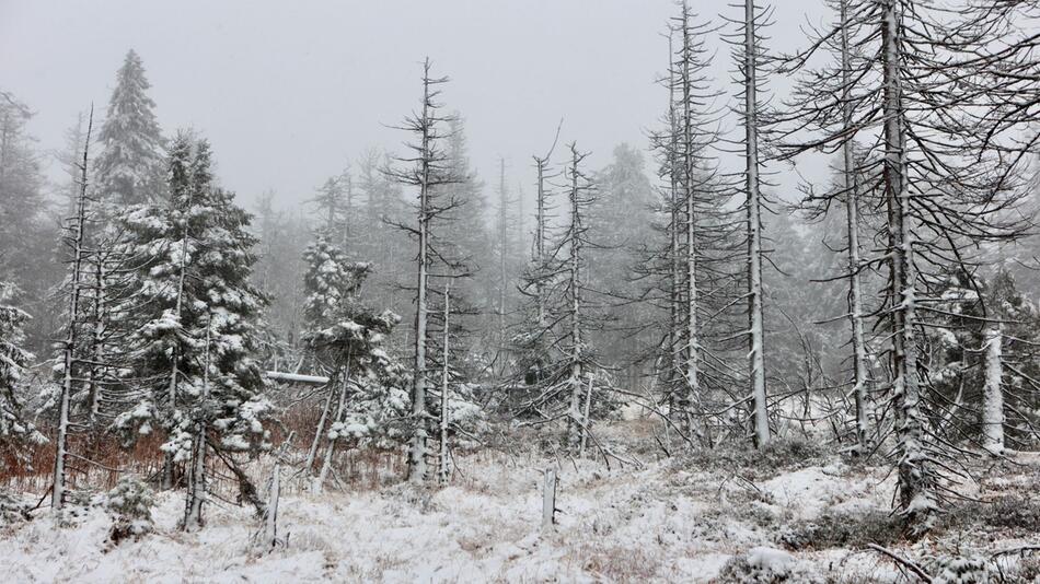 Schnee im Oberharz - Wetter