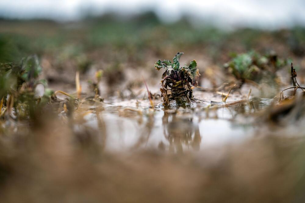 Äcker unter Wasser