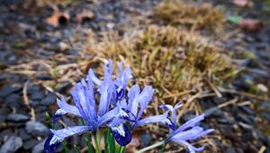 Wetter aus Rheinland-Pfalz