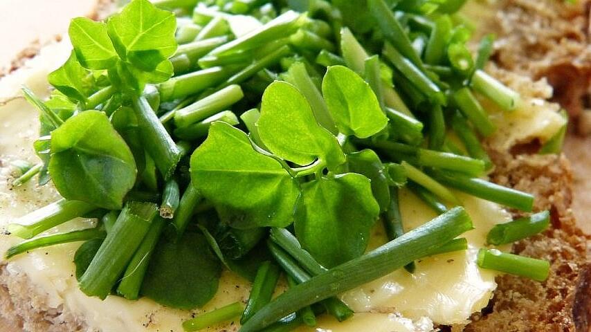 Eiweißbrot Rezept