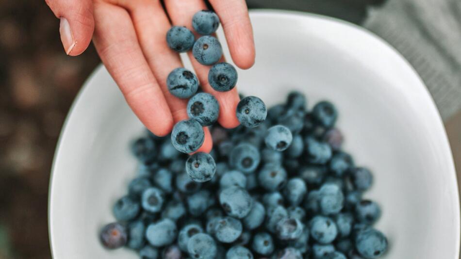 Blaubeer-Boom: Die Folgen