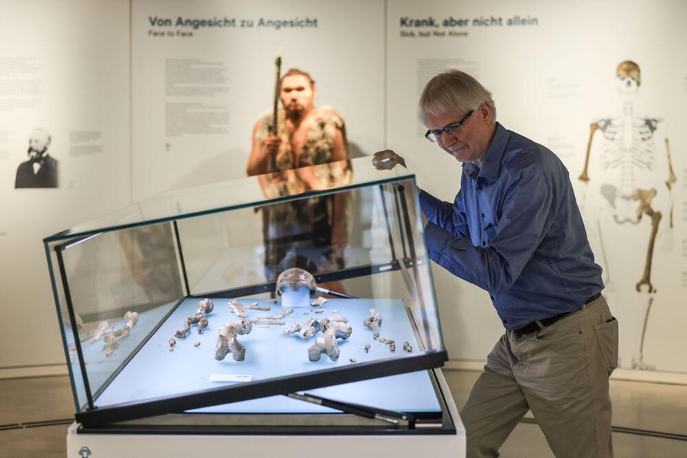 Neandertaler im LVR-LandesMuseum Bonn