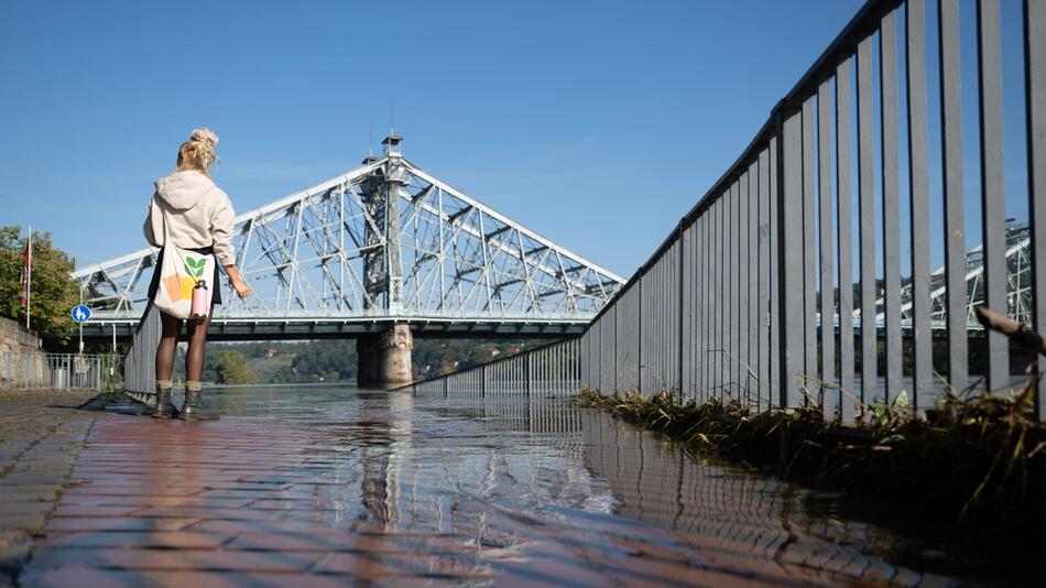 Elbe-Hochwasser - Dresden