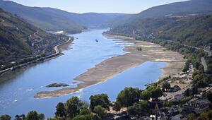 Trockenheit im Rhein