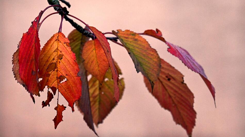 Herbstwetter in Nordrhein-Westfalen