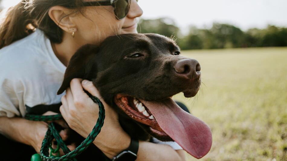 Was tun, wenn Dein Hund nach dem Kauf krank ist?