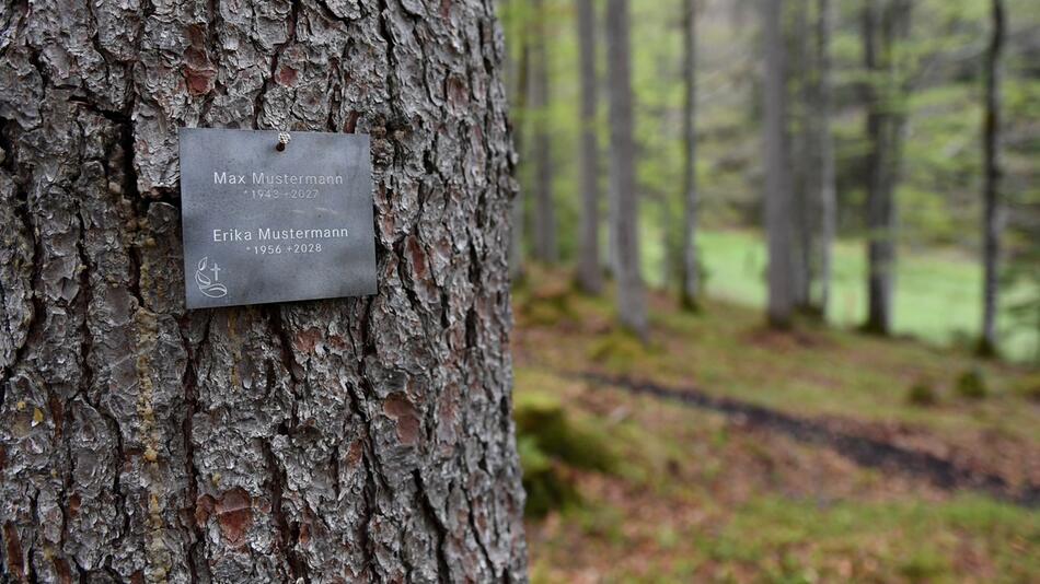 Erster Naturfriedhof der Bayerischen Staatsforsten